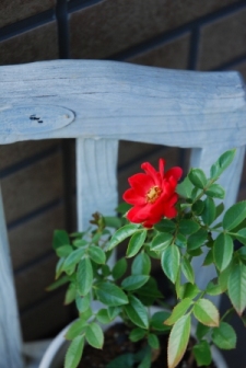 c0152816_212359.jpg