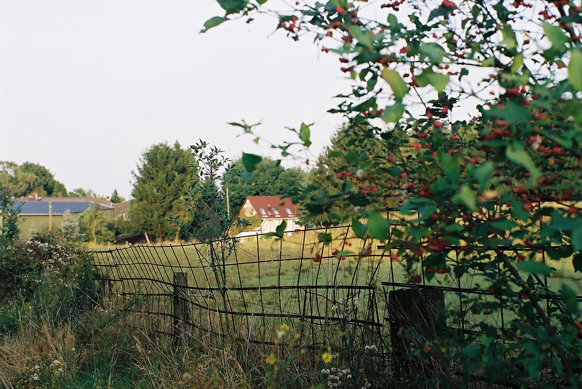b0148617_2564753.jpg