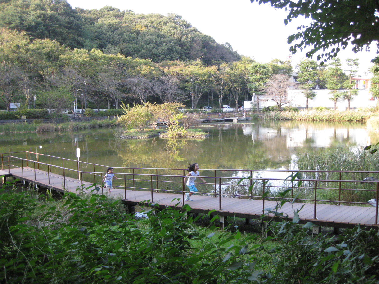 もえぎ野公園。_c0178917_027416.jpg