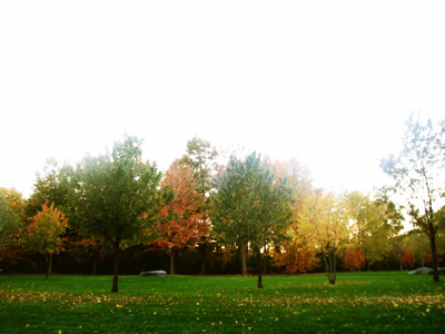 c0017220_11204619.jpg