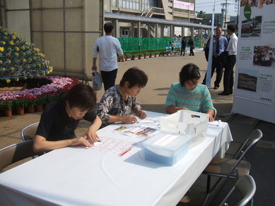 2009たけふ菊人形まつり開催_e0061225_1434352.jpg