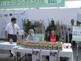 2009たけふ菊人形まつり開催_e0061225_8415825.jpg