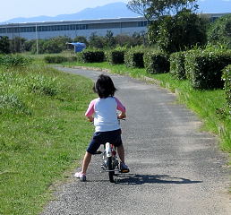 a0137132_2325365.jpg