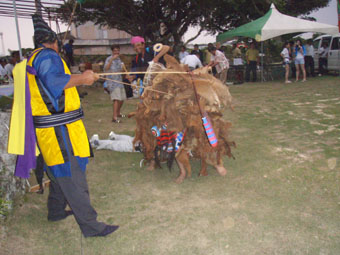 e0041337_10382447.jpg