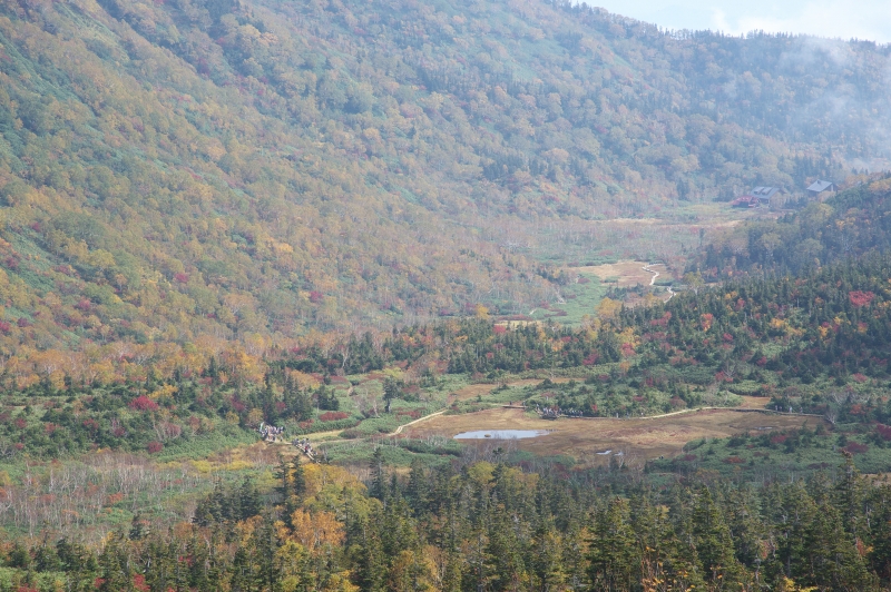 b0147449_19273216.jpg