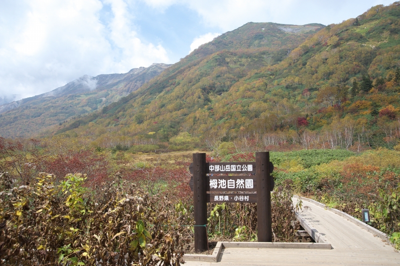 b0147449_199276.jpg