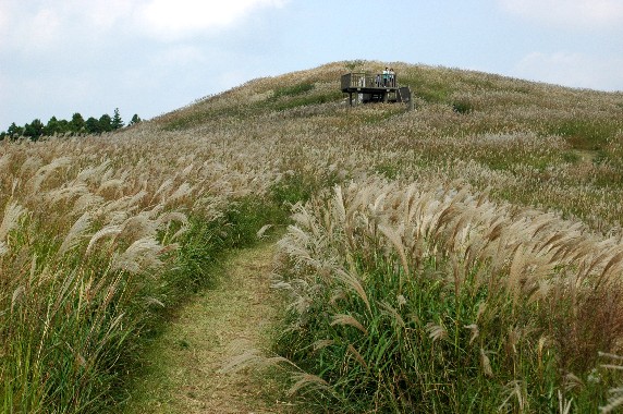 　　　　　四季・・・・・秋_b0093754_092689.jpg