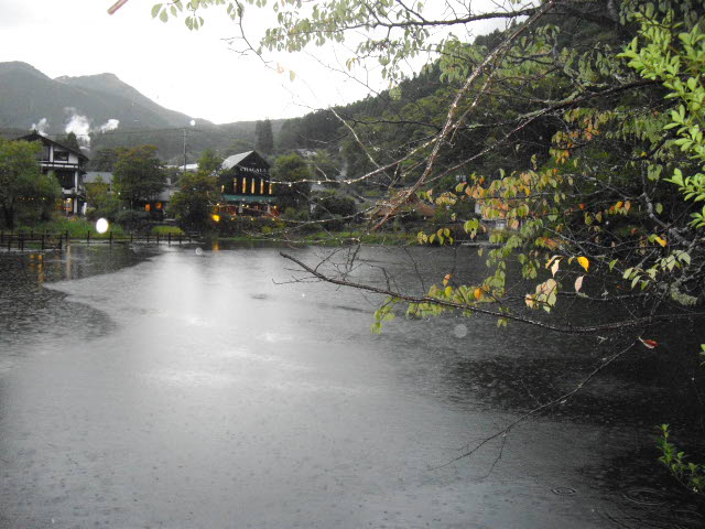 d0116059_22115791.jpg
