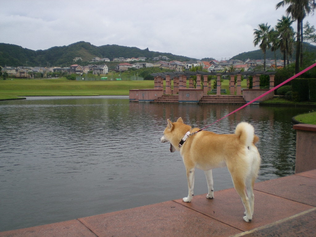 2009年10月7日(水)史上最強の台風18号接近!!_f0060461_14381615.jpg