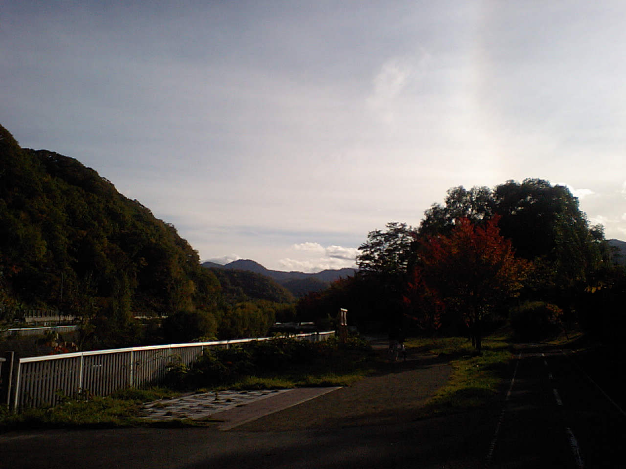 d0098665_17364673.jpg