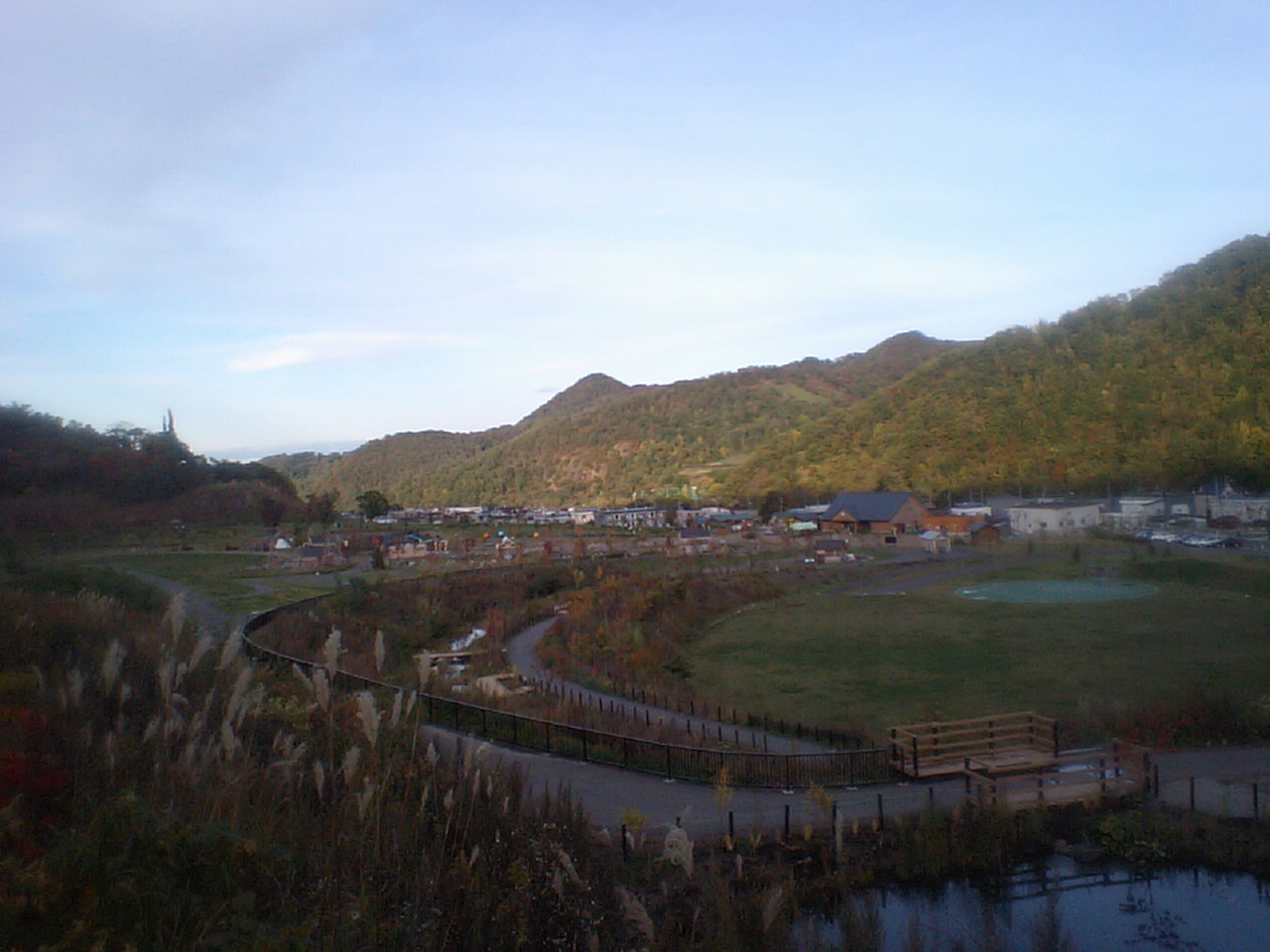 d0098665_17381560.jpg