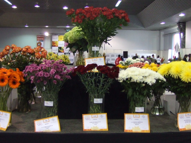 Proflora2009✿国際花卉展示会_c0150169_338579.jpg