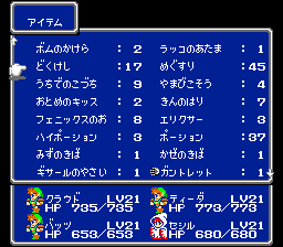 FF3購入禁止プレイその２　－飛んでアーガス王－_e0015879_11292287.gif