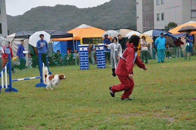 c0075585_140033.gif