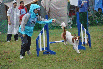 c0075585_1414168.gif