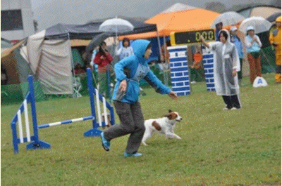 c0075585_1423789.gif