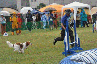c0075585_1433070.gif