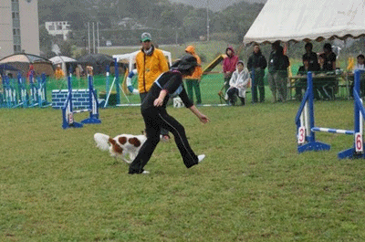 c0075585_1443174.gif