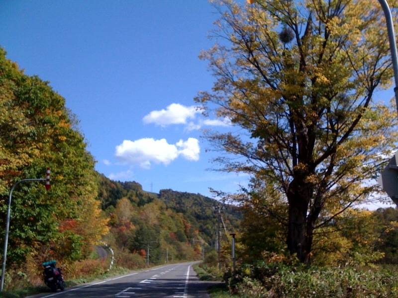 ニレの泣く木 久保のブログ 北海道編