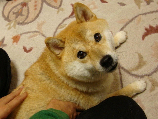 時間がないのに!_a0126590_2241266.jpg