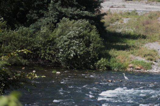 d0133693_21174764.jpg
