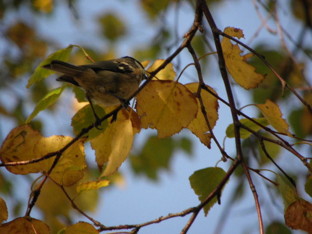 c0086895_1842510.jpg