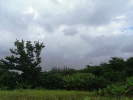 今日の鳩間島　10/7（水）　曇り時々小雨_b0165698_1957189.jpg