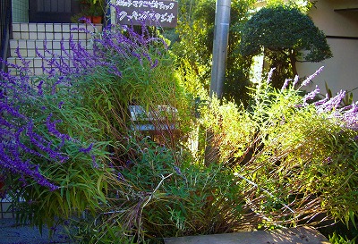 c0125702_18364294.jpg
