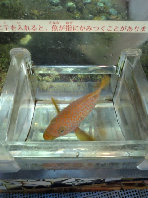 e0175702_23303436.jpg