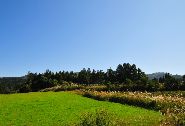 b0158403_13353557.jpg