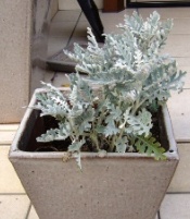 e0186603_2119956.jpg