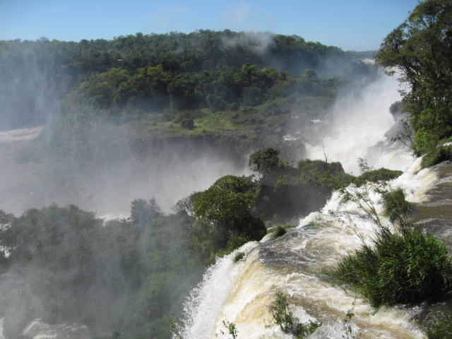 a0100706_23355741.jpg