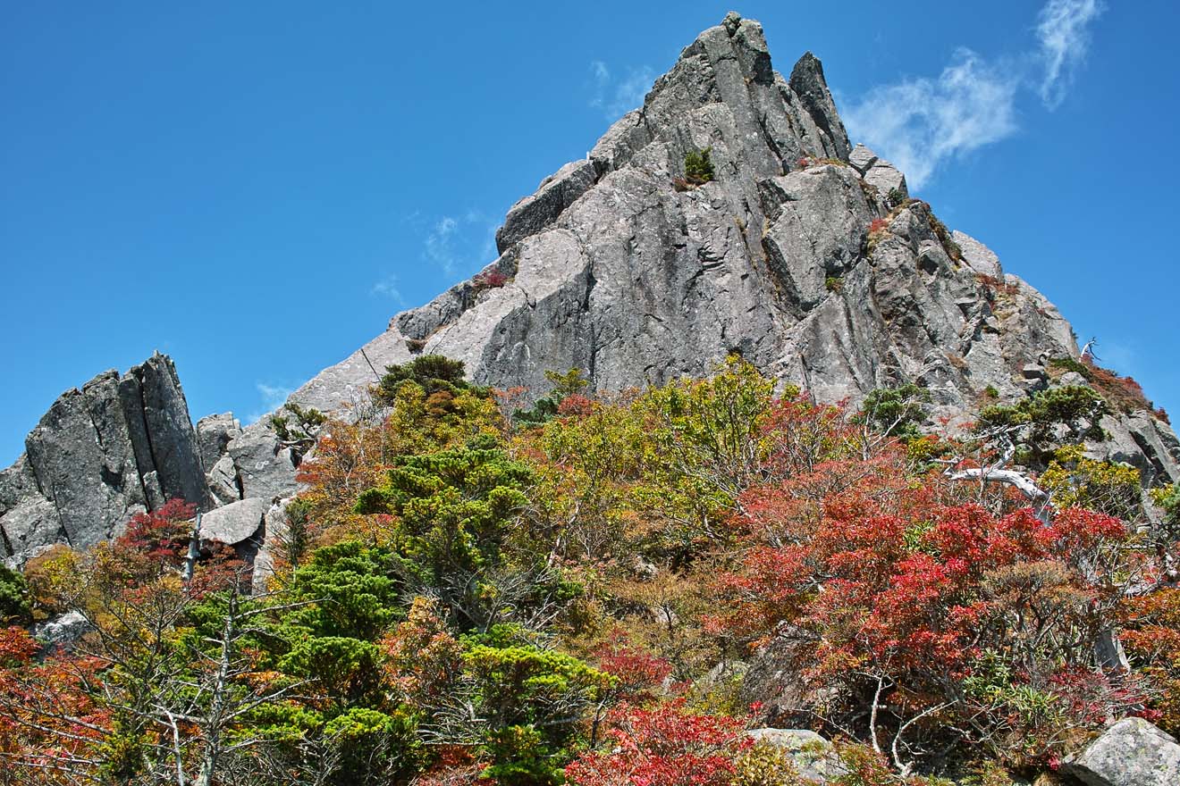 石鎚山　東陵コース　エントツ山さん達とバッタリ_b0124306_22373310.jpg