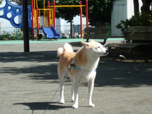 e0131506_2354194.jpg