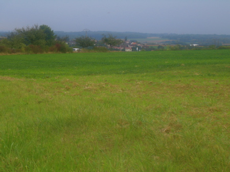 d0135907_719730.jpg