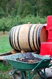 Reportage sur la vinification 2009 (1) ; En rouge, semaines de decuvage et pressurage ..._a0113208_3252199.jpg