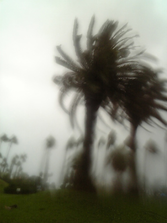 c0195909_14271155.jpg