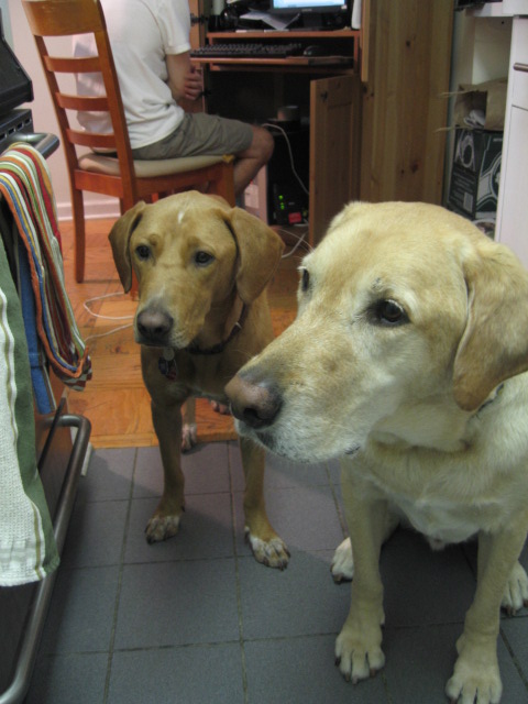 f0036409_10231031.jpg