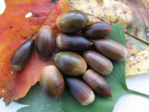 e0139012_180340.jpg