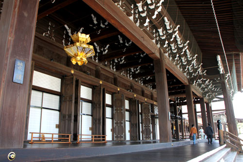 西本願寺 御影堂_e0048413_21465417.jpg