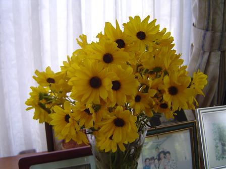 a0114314_15235130.jpg
