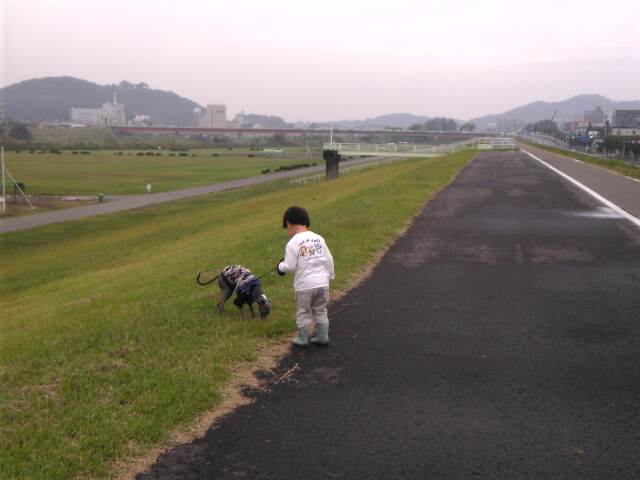 c0003217_21339.jpg