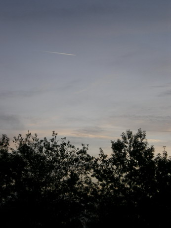c0124619_22125598.jpg