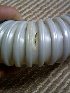 e0091220_13462277.jpg