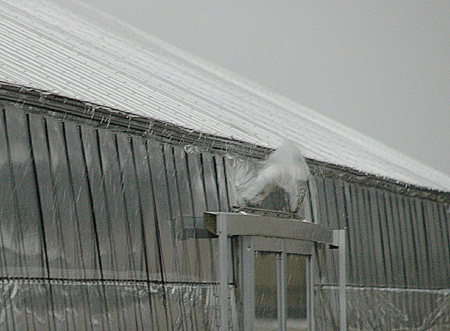 b0178923_1815692.gif