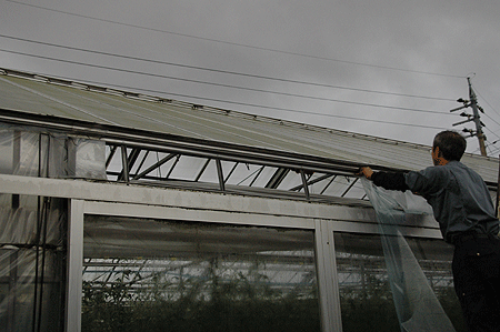 b0178923_1865479.gif