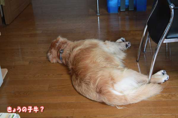 台風18号群馬県北上中・・・そのころ我が家は？_f0203423_11413987.jpg