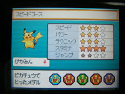 ポケスロン つきねこの日記
