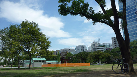 台風の爪あと_e0089826_233462.jpg