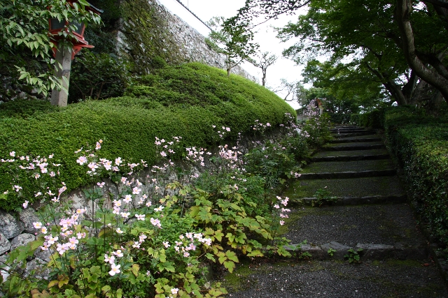 秋の大原野巡り（前編）_b0169330_2124431.jpg